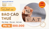 Dịch vụ báo cáo thuế theo tháng, quý giá rẻ từ 500.000đ